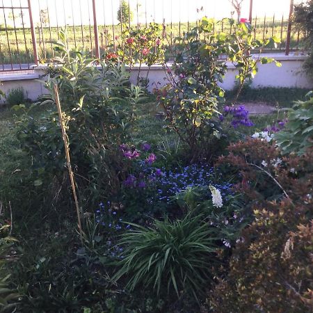 Suite Al Pian Gugi 外观 照片